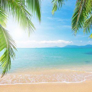 Meet your Posher, Tiana